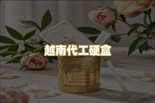 越南代工硬盒